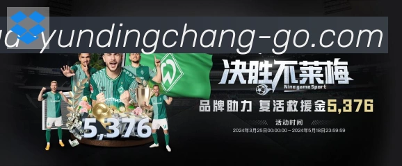 未来规划